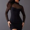 Petite Black Slinky Mesh Insert Long Sleeve Bodycon Dress -Goremje Style 6439499208020792931a006199d61e5eaaf8b3c1 cnc4861 1