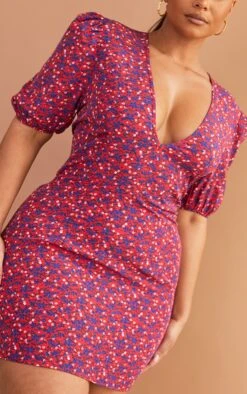 Plus Red Floral Puff Sleeve Tea Dress -Goremje Style 808fe1fec5187ea2f59d5b3fea9adc8e6837c949 cmw2871 5